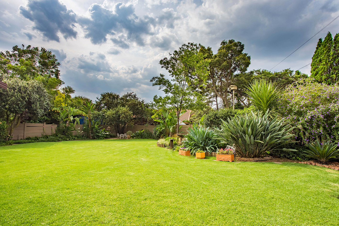 Garden